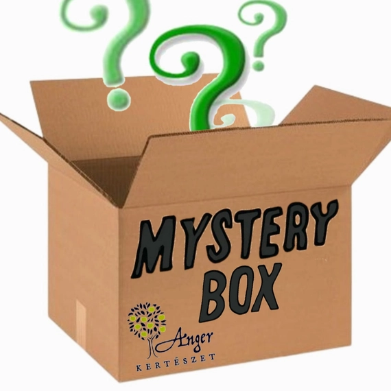 MYSTERY BOX - szobanövények