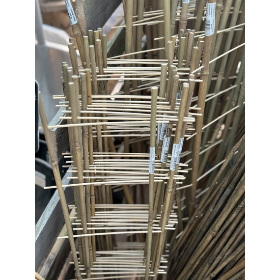 Bambusz Létra