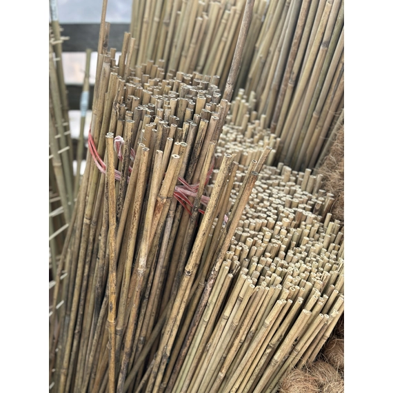 Bambusz karó
